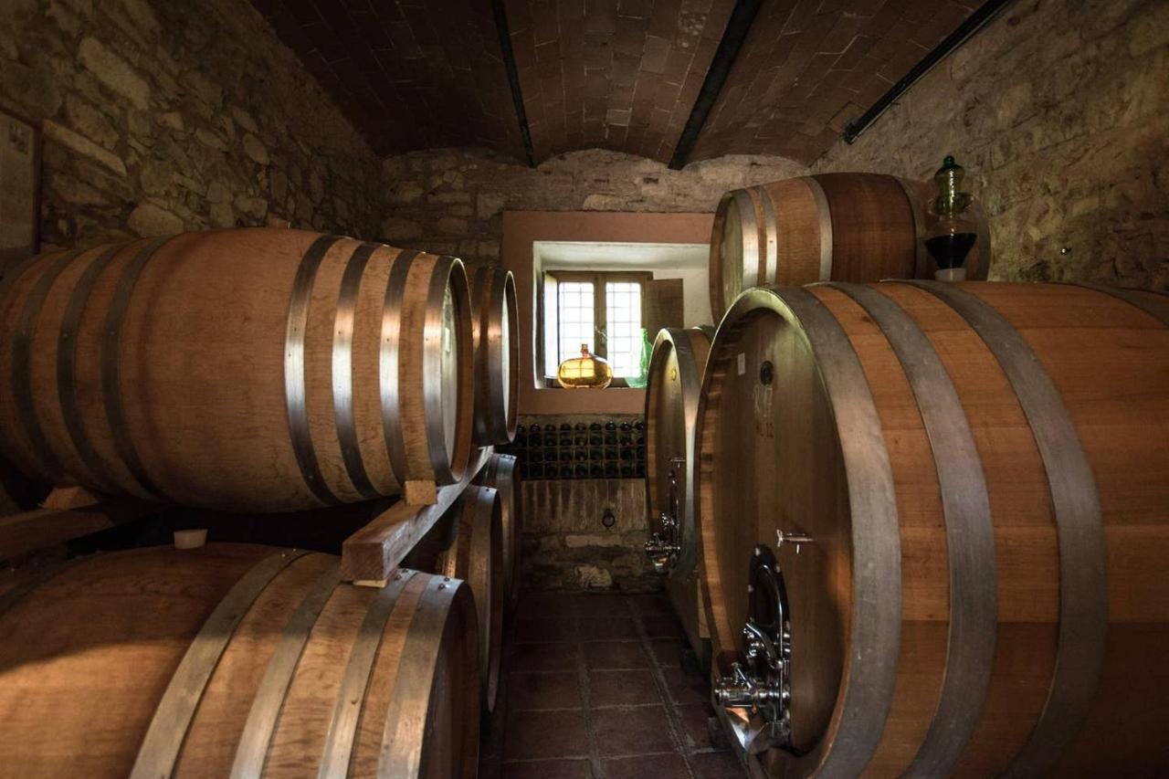 Agriturismo Buondonno Castellina in Chianti Exteriér fotografie